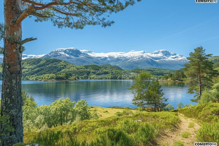 Quelle est la période la propice pour découvrir la Norvège ?